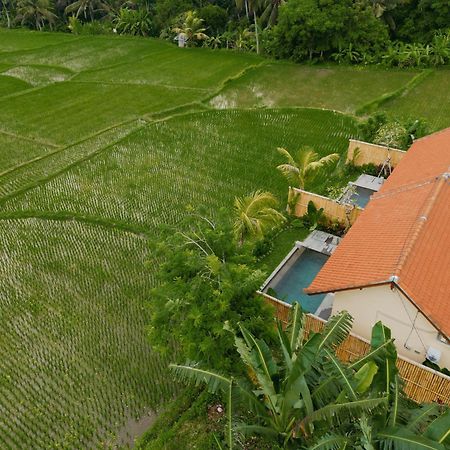 Uma Rimbun Pool Villa By Uniquecations Ubud Kültér fotó