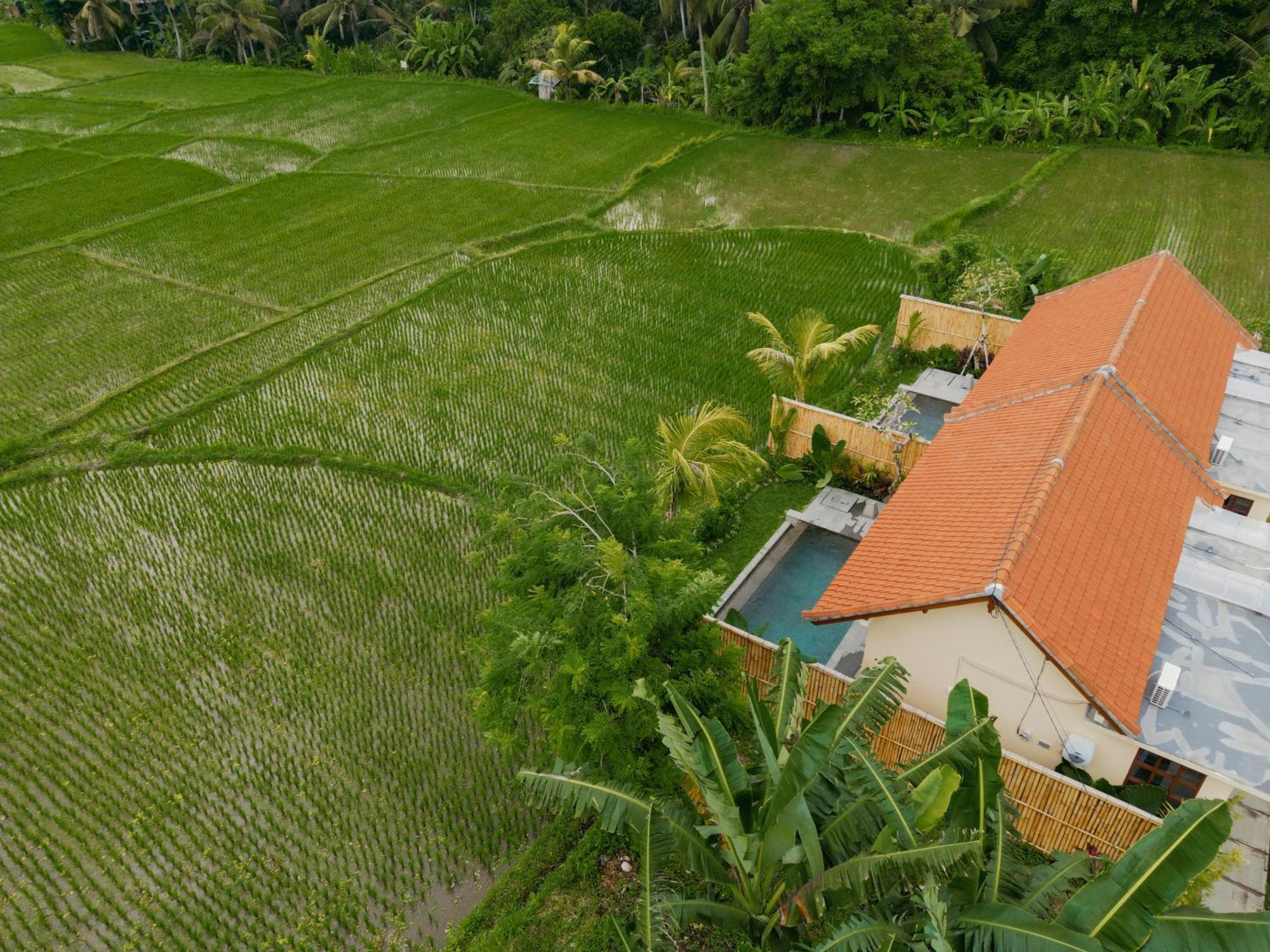 Uma Rimbun Pool Villa By Uniquecations Ubud Kültér fotó